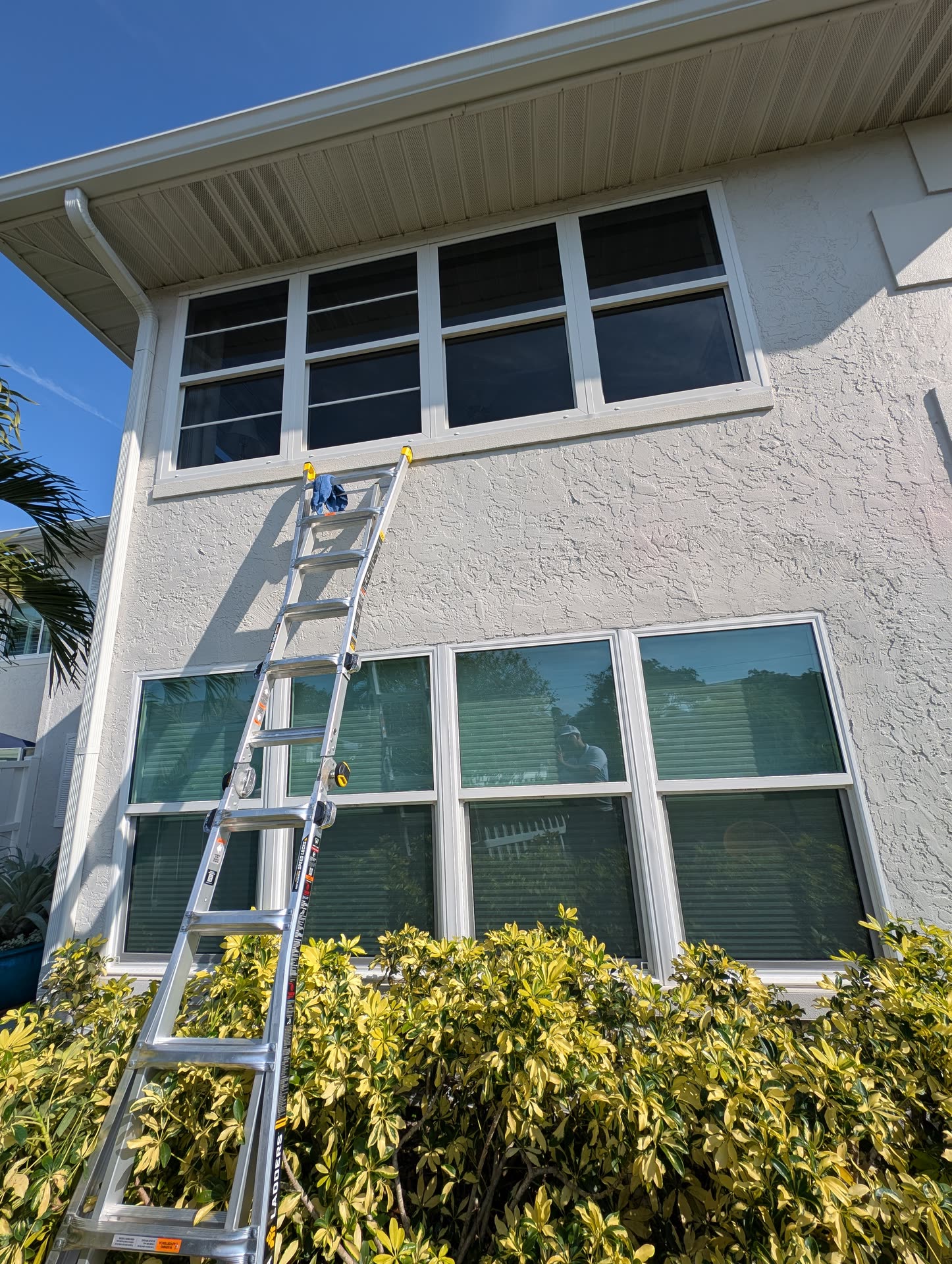 LUX cleaning work 20